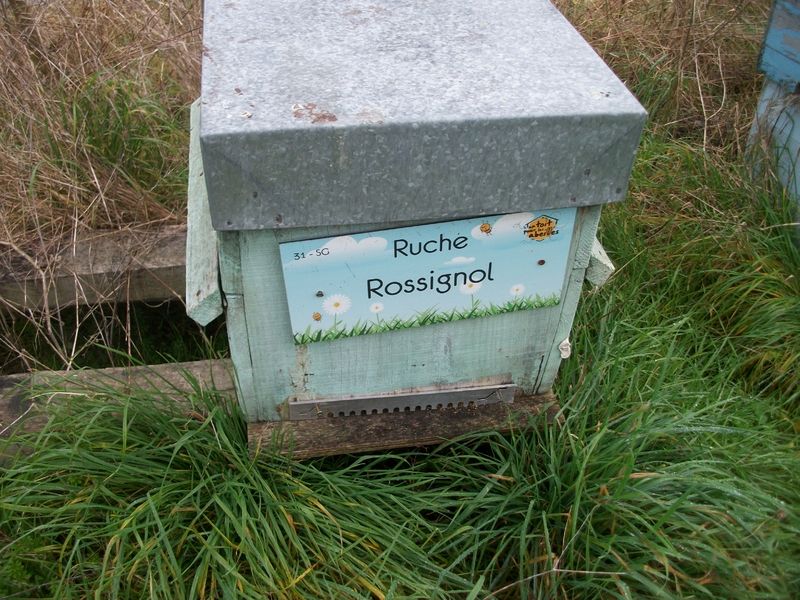 La ruche Rossignol