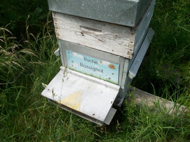La ruche Rossignol