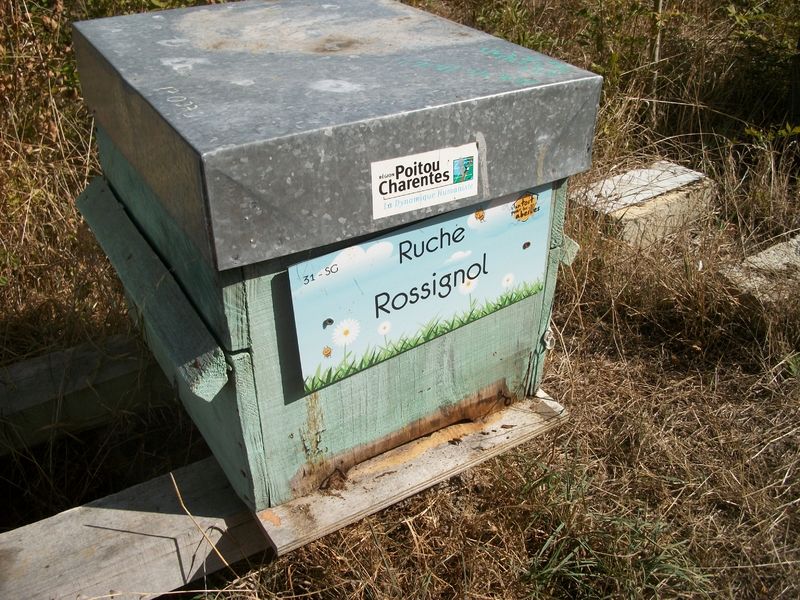 La ruche Rossignol