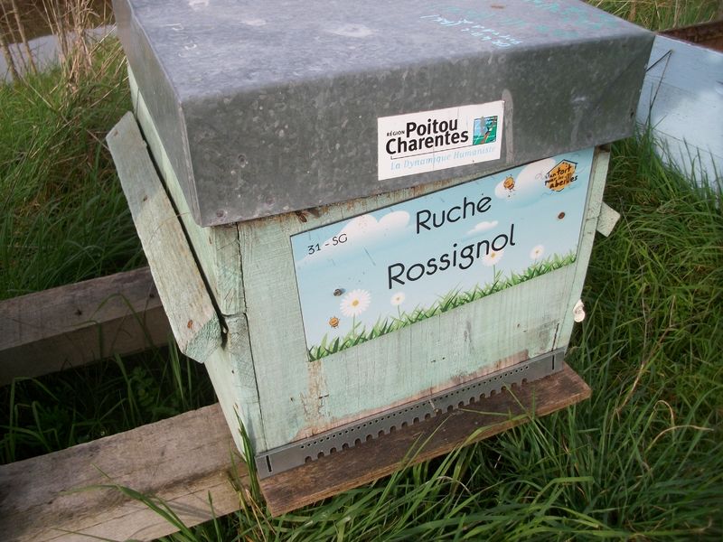 La ruche Rossignol