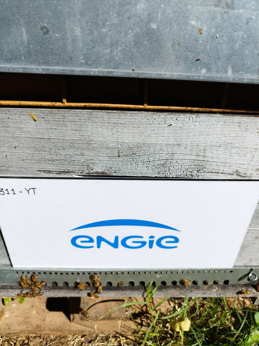 La ruche ENGIE - MPPA