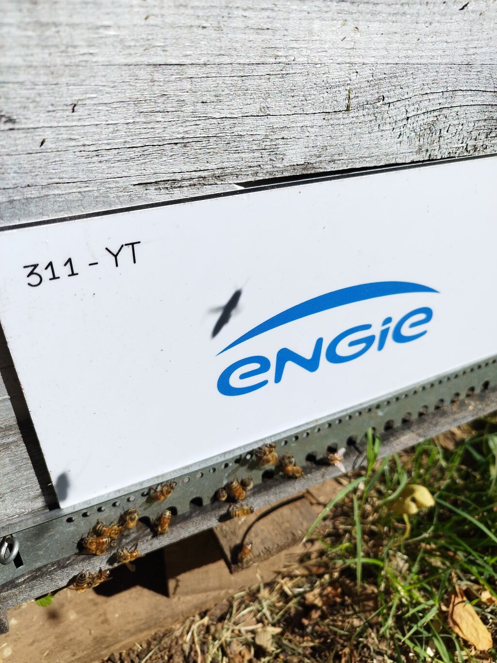 La ruche ENGIE - MPPA