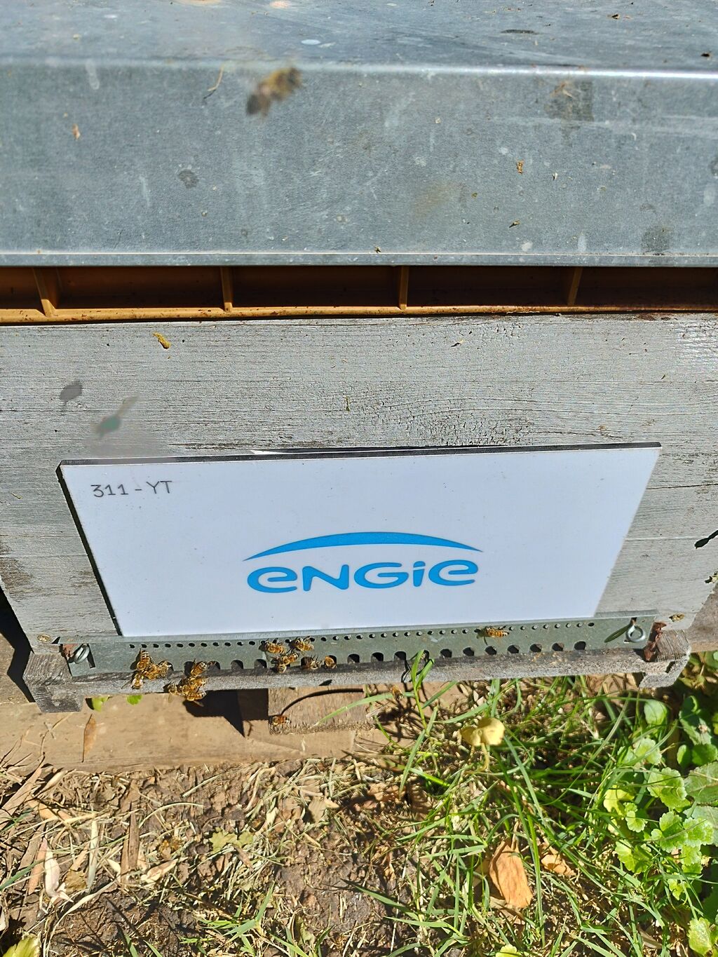 La ruche ENGIE - MPPA