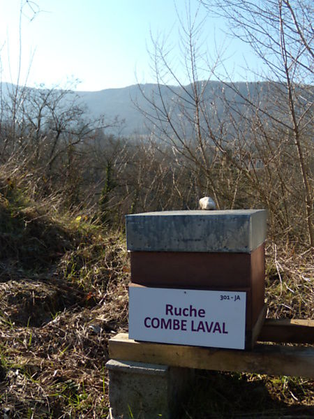 La ruche