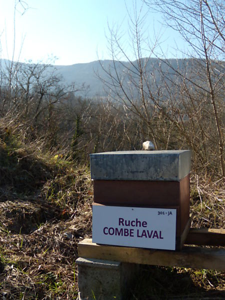 La ruche 