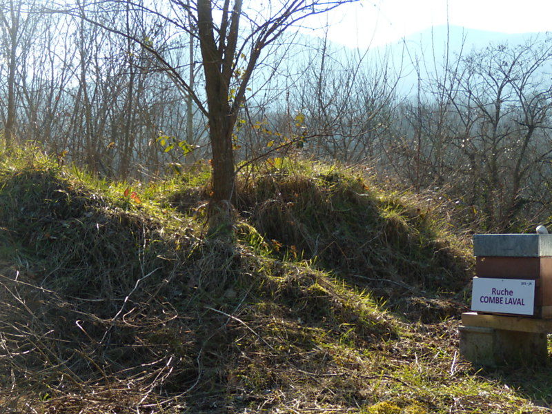 La ruche Combe laval