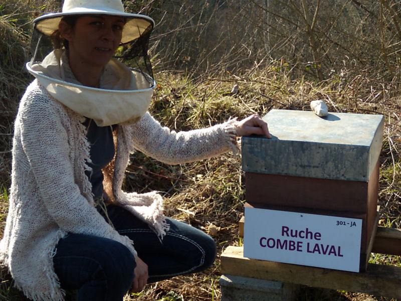 La ruche Combe laval