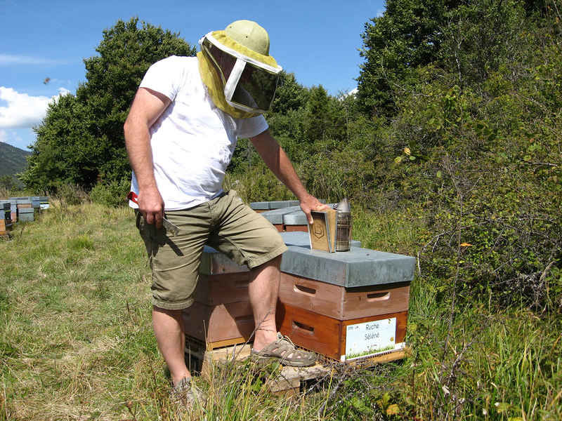 La ruche Séléné