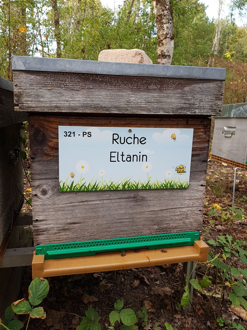 La ruche