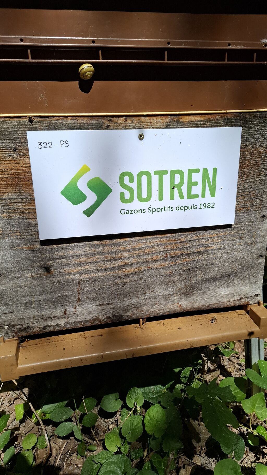 La ruche SOTREN