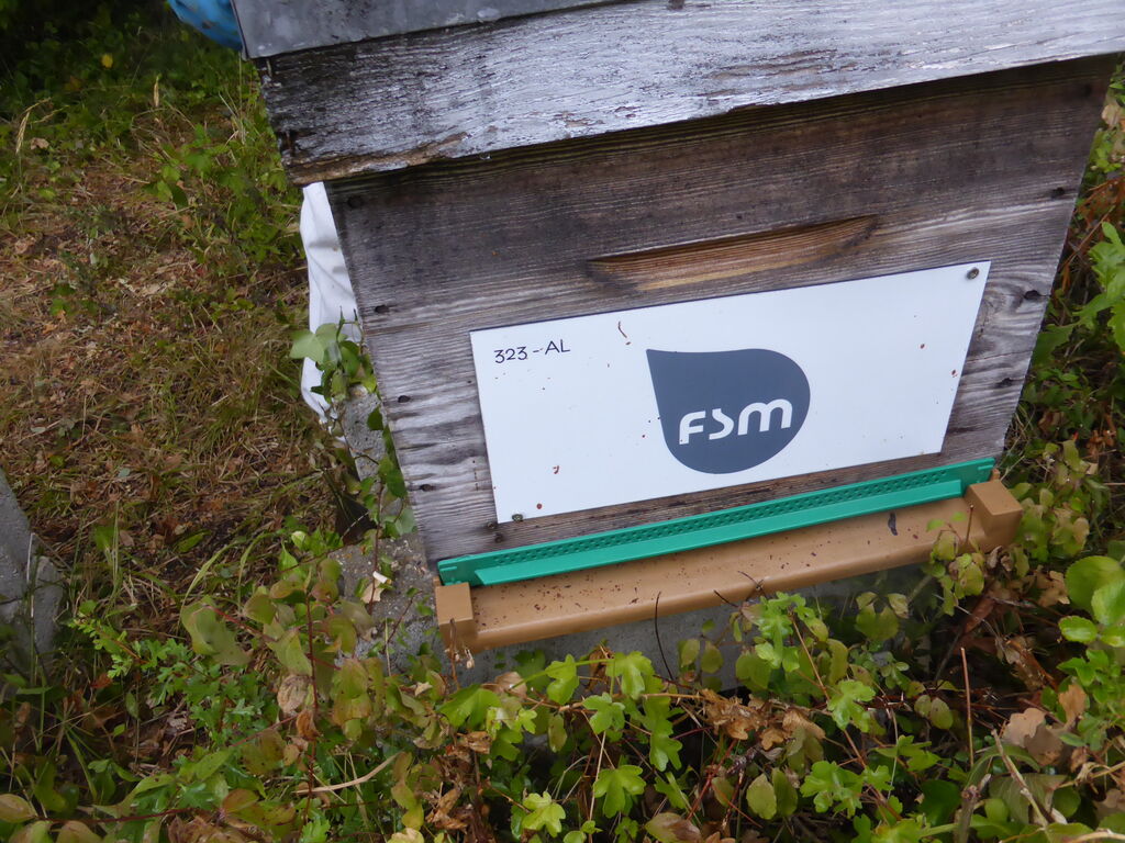 La ruche FSM