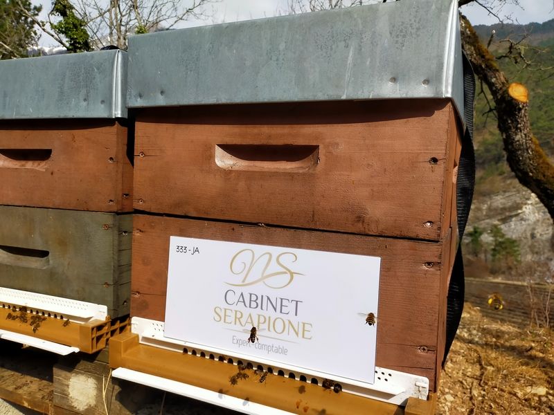 La ruche Cabinet Serapione