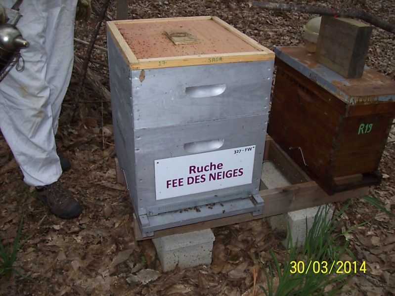 La ruche Fée des neiges