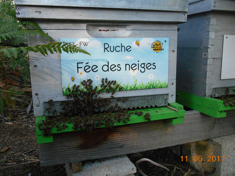 La ruche Fée des neiges