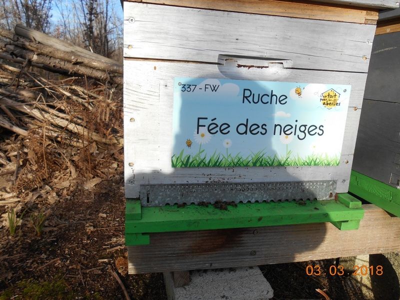 La ruche Fée des neiges