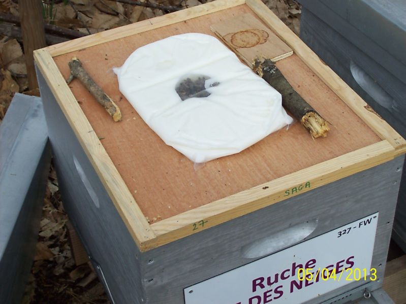 La ruche Fée des neiges