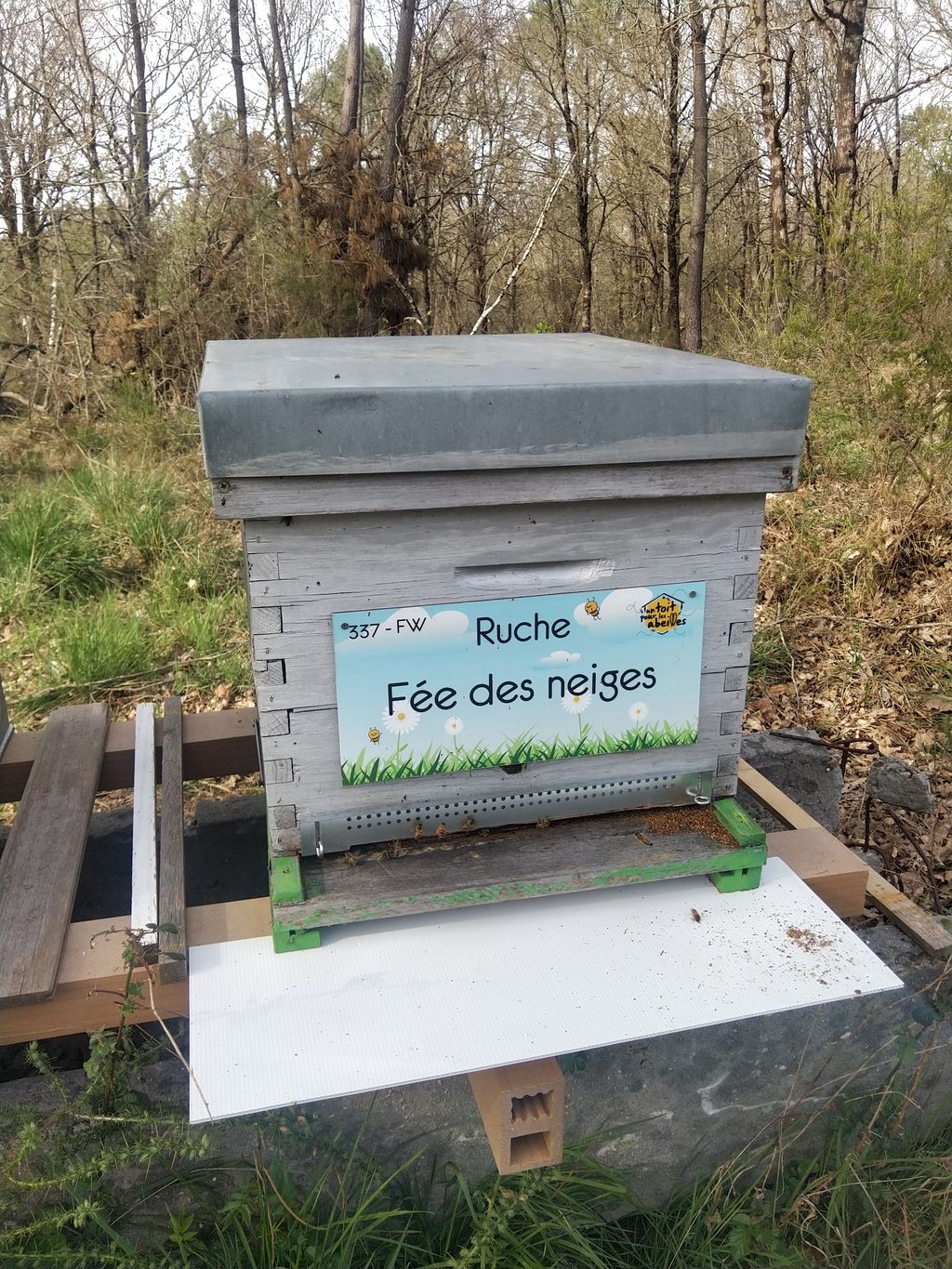 La ruche Fée des neiges