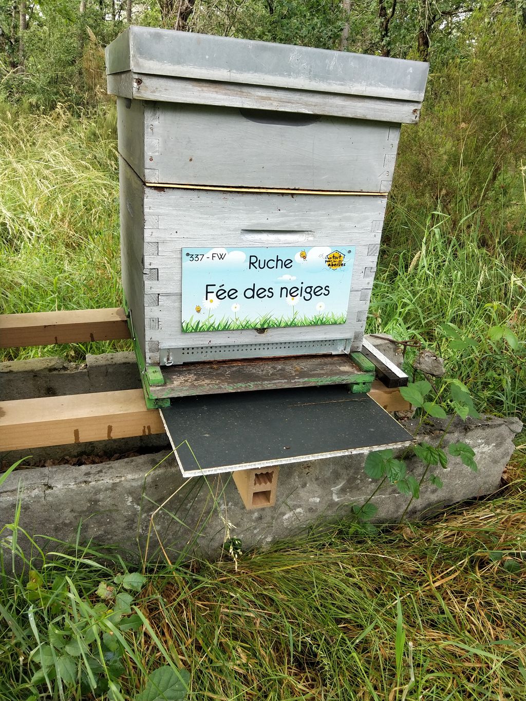 La ruche Fée des neiges