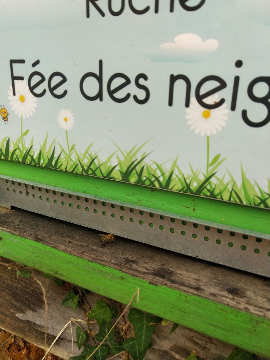 La ruche Fée des neiges