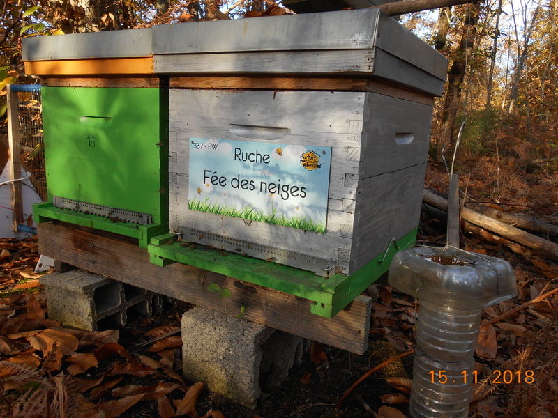 La ruche Fée des neiges