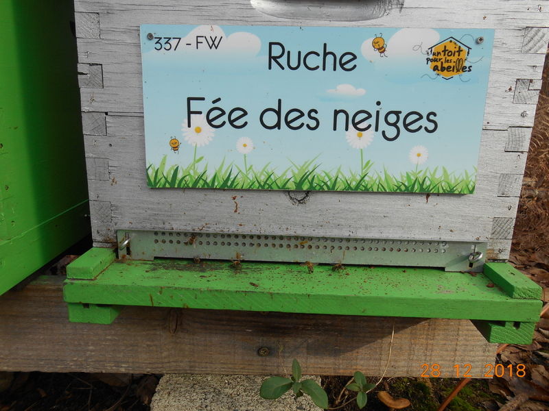 La ruche Fée des neiges