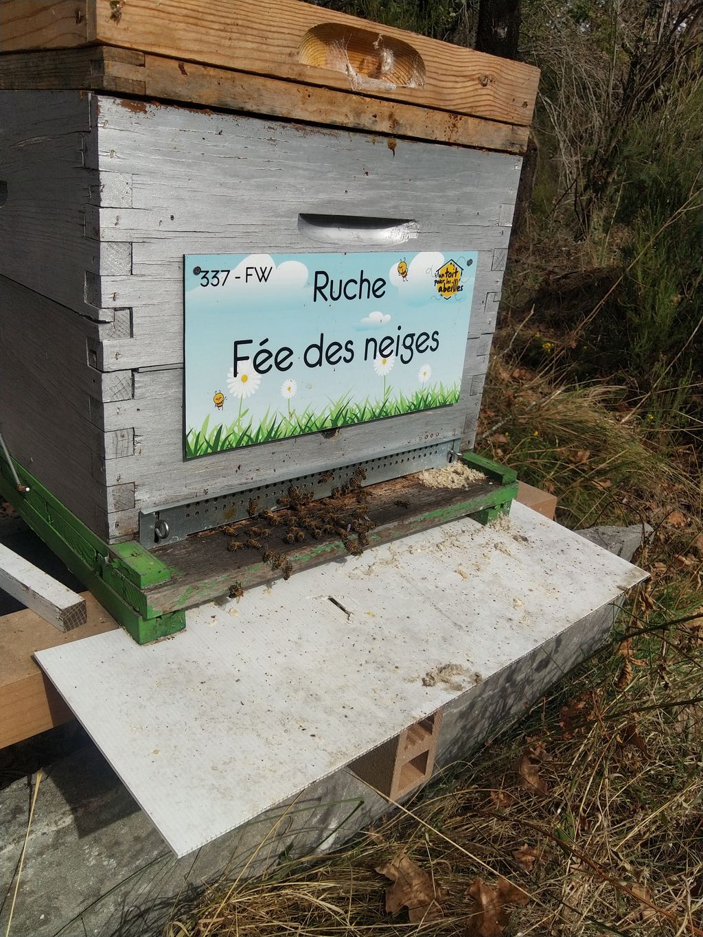 La ruche Fée des neiges