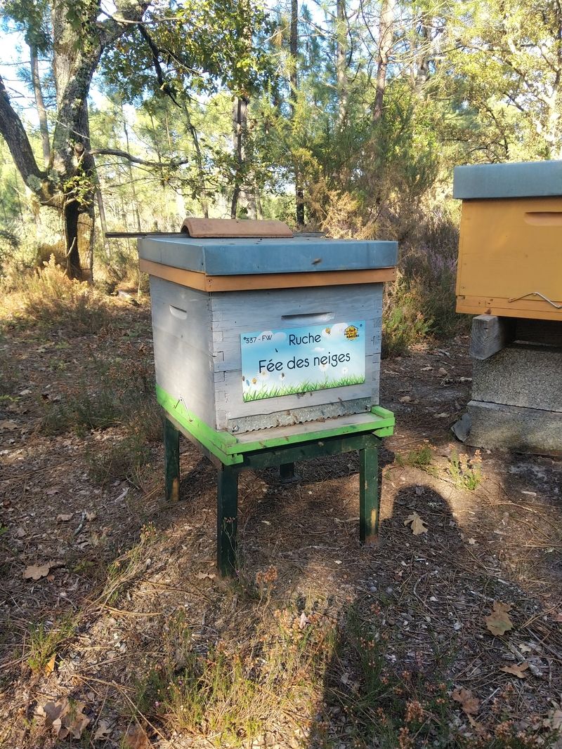 La ruche Fée des neiges