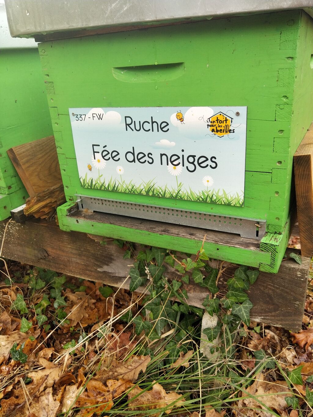 La ruche Fée des neiges