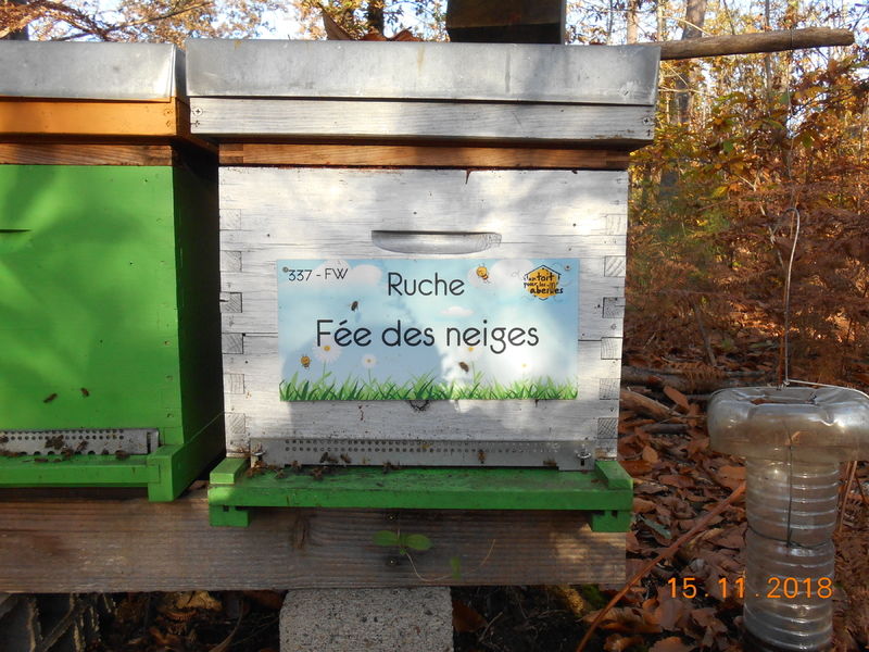 La ruche Fée des neiges