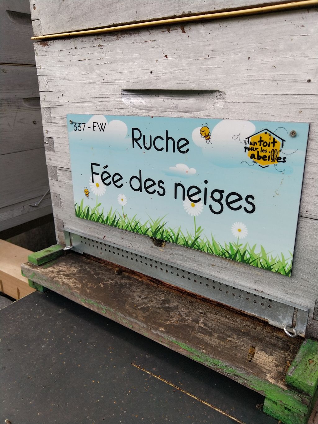 La ruche Fée des neiges