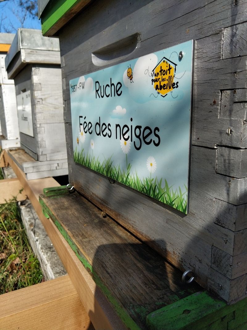 La ruche Fée des neiges