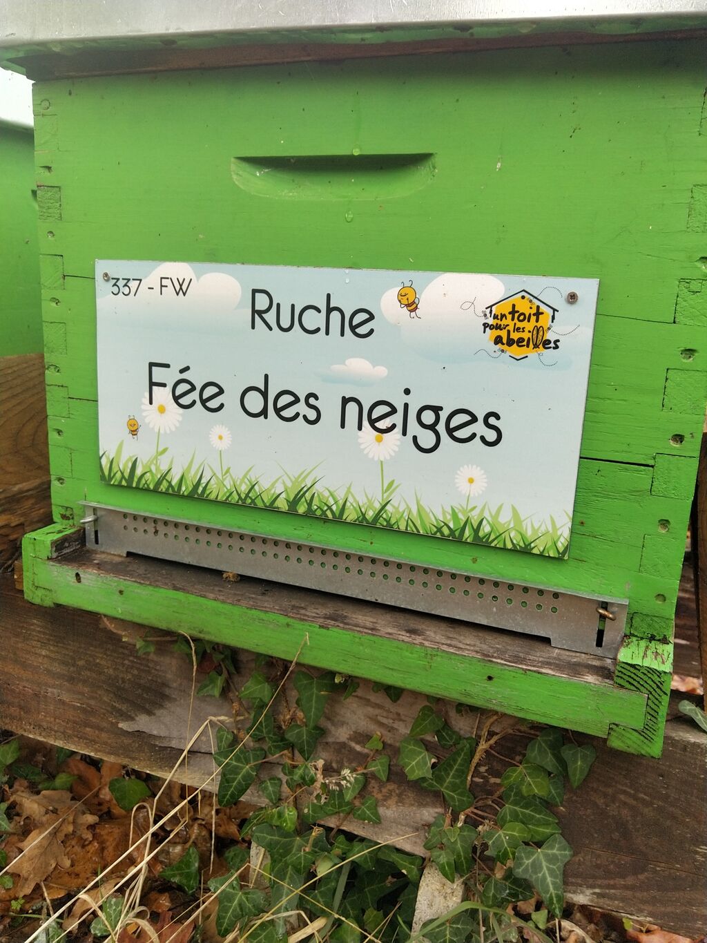 La ruche Fée des neiges