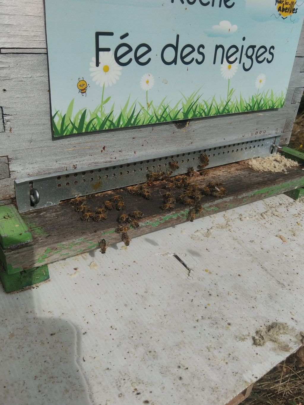 La ruche Fée des neiges