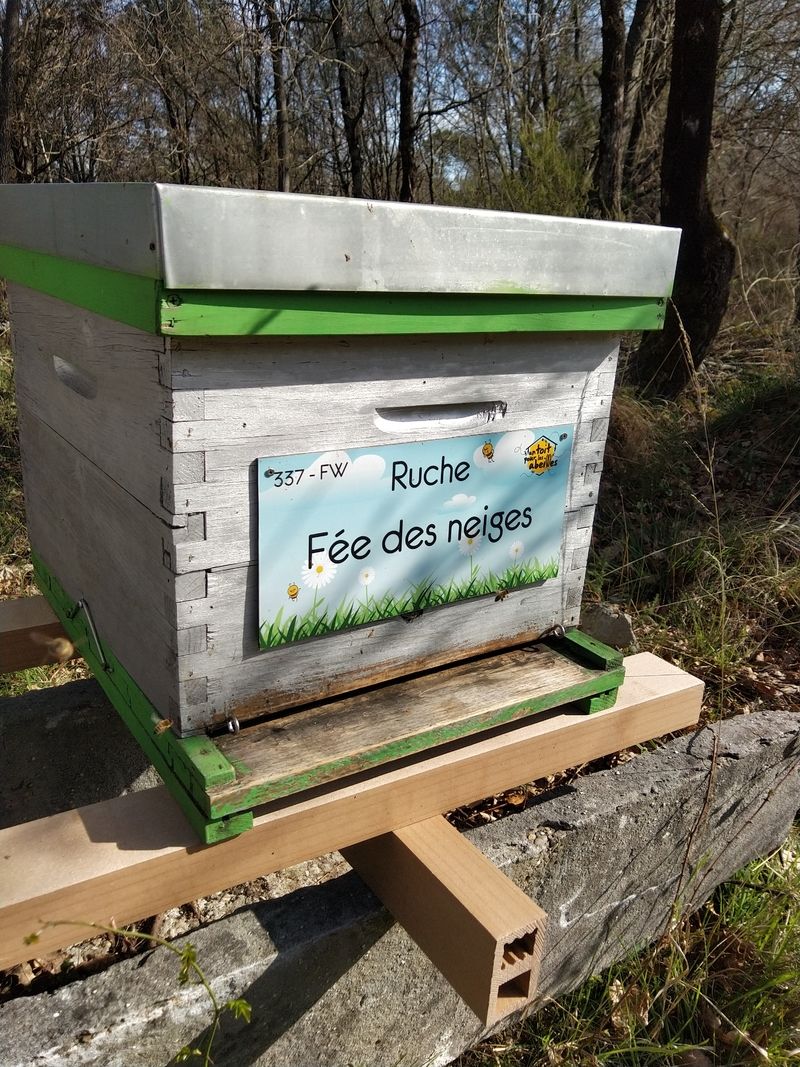 La ruche Fée des neiges
