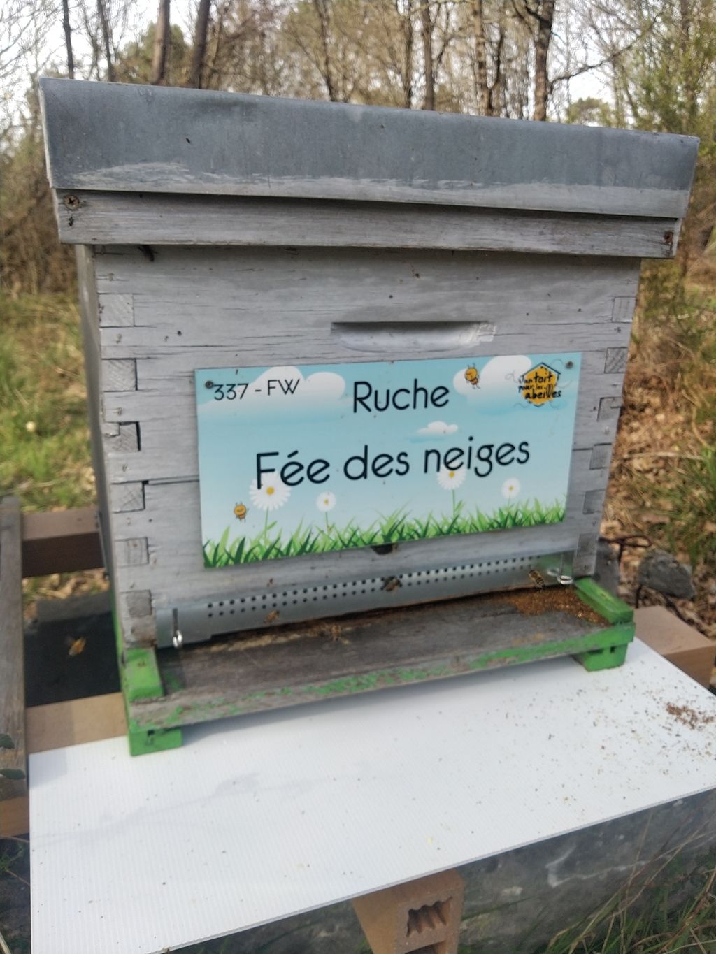 La ruche Fée des neiges