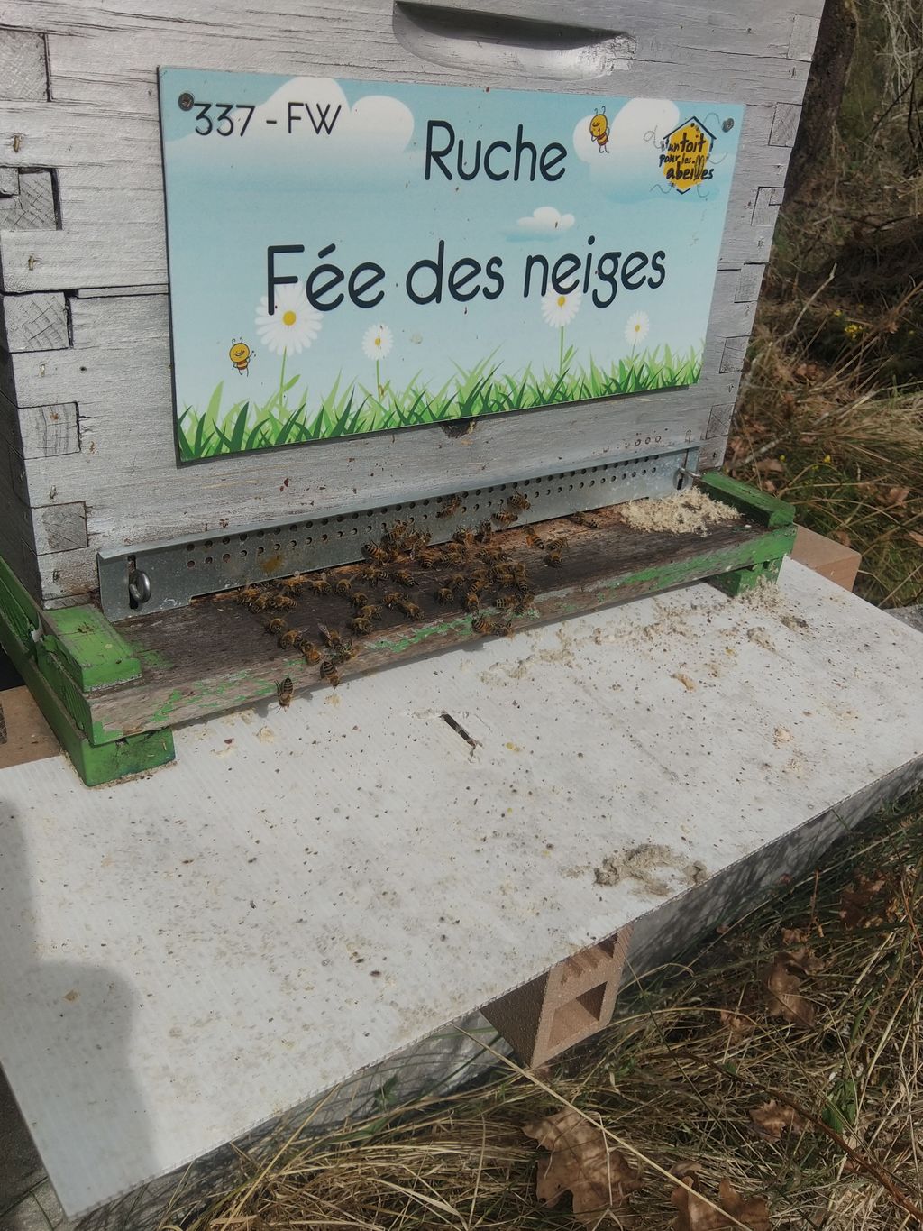 La ruche Fée des neiges