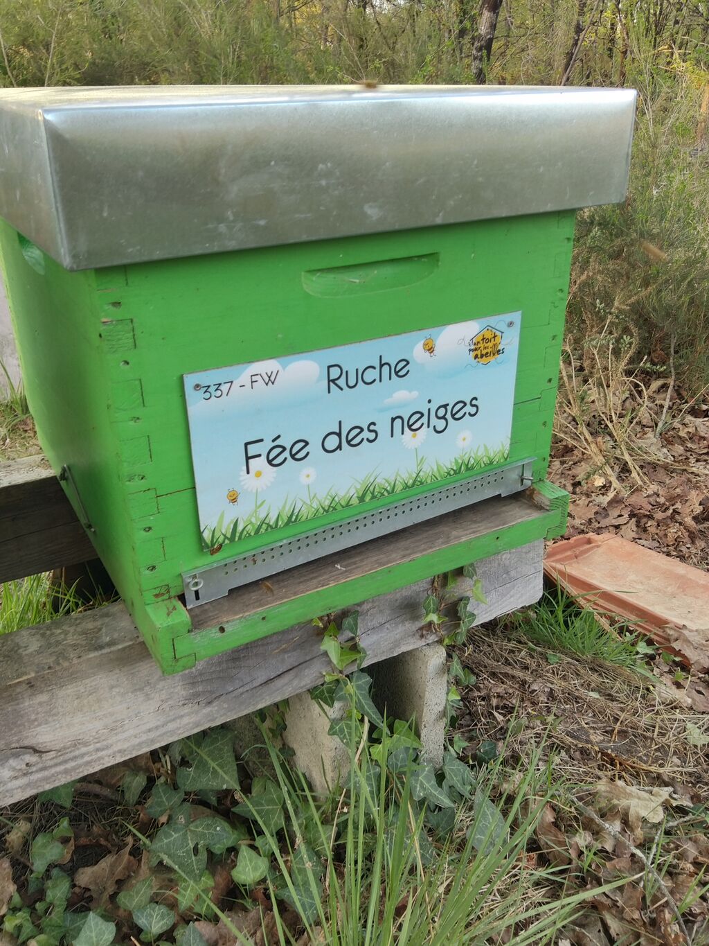 La ruche Fée des neiges