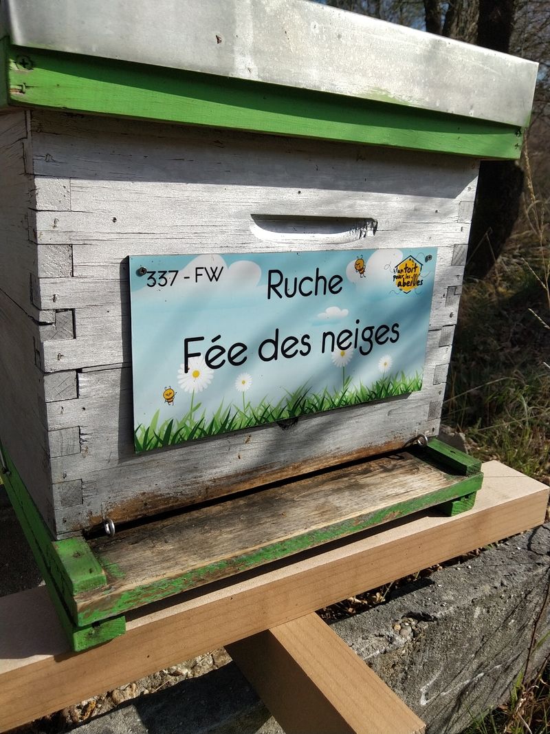 La ruche Fée des neiges