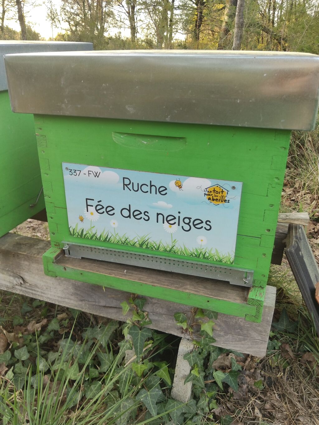 La ruche Fée des neiges