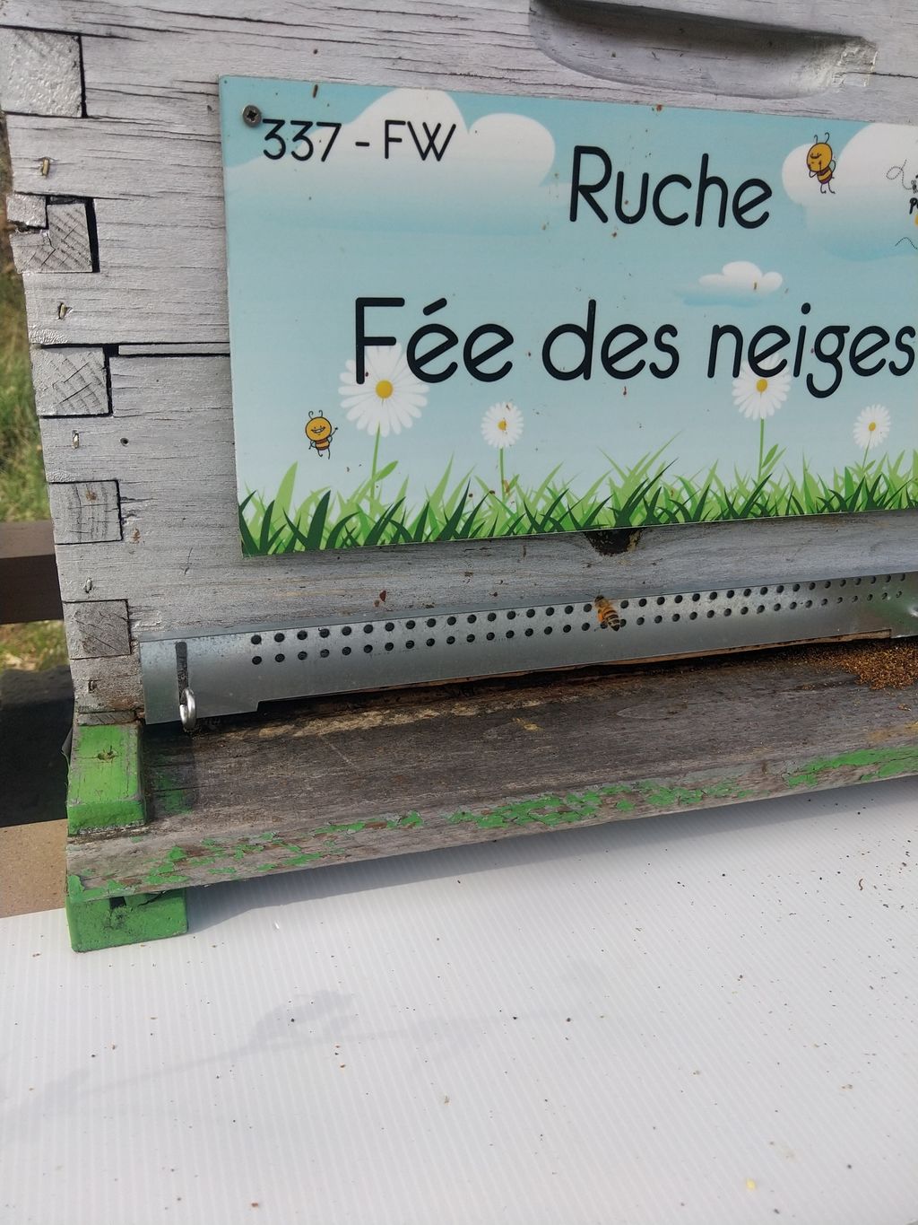 La ruche Fée des neiges