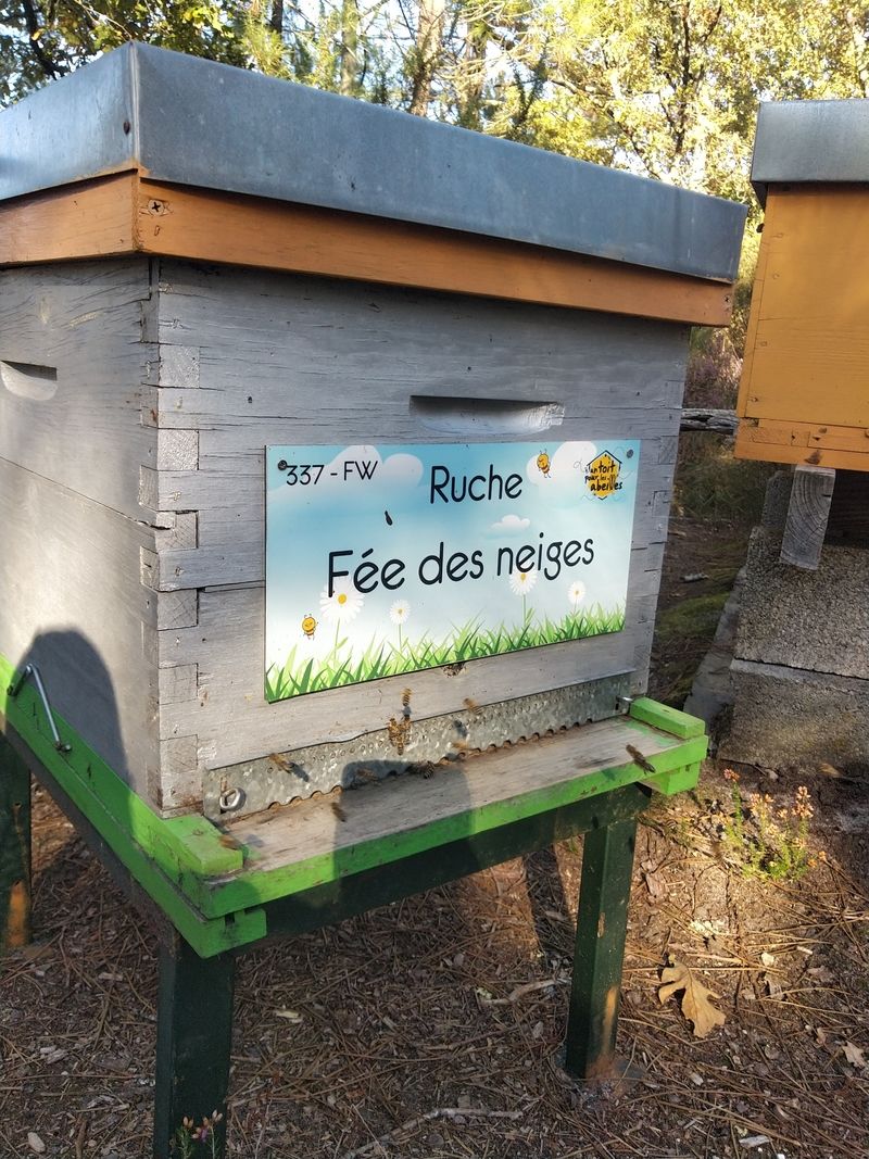 La ruche Fée des neiges