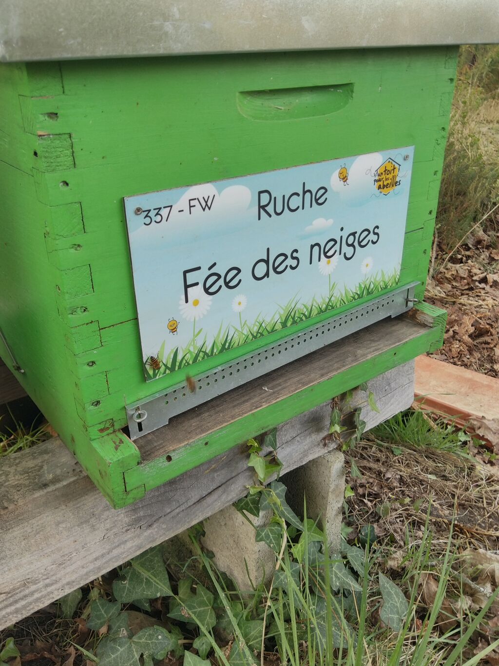 La ruche Fée des neiges