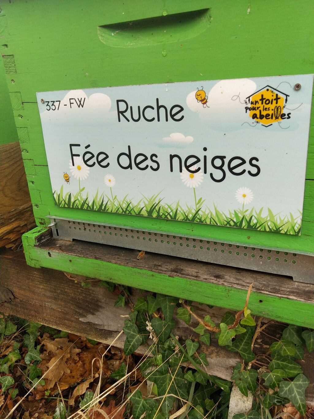 La ruche Fée des neiges