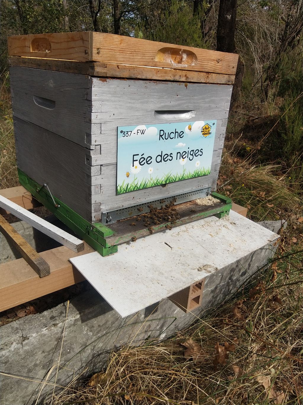 La ruche Fée des neiges