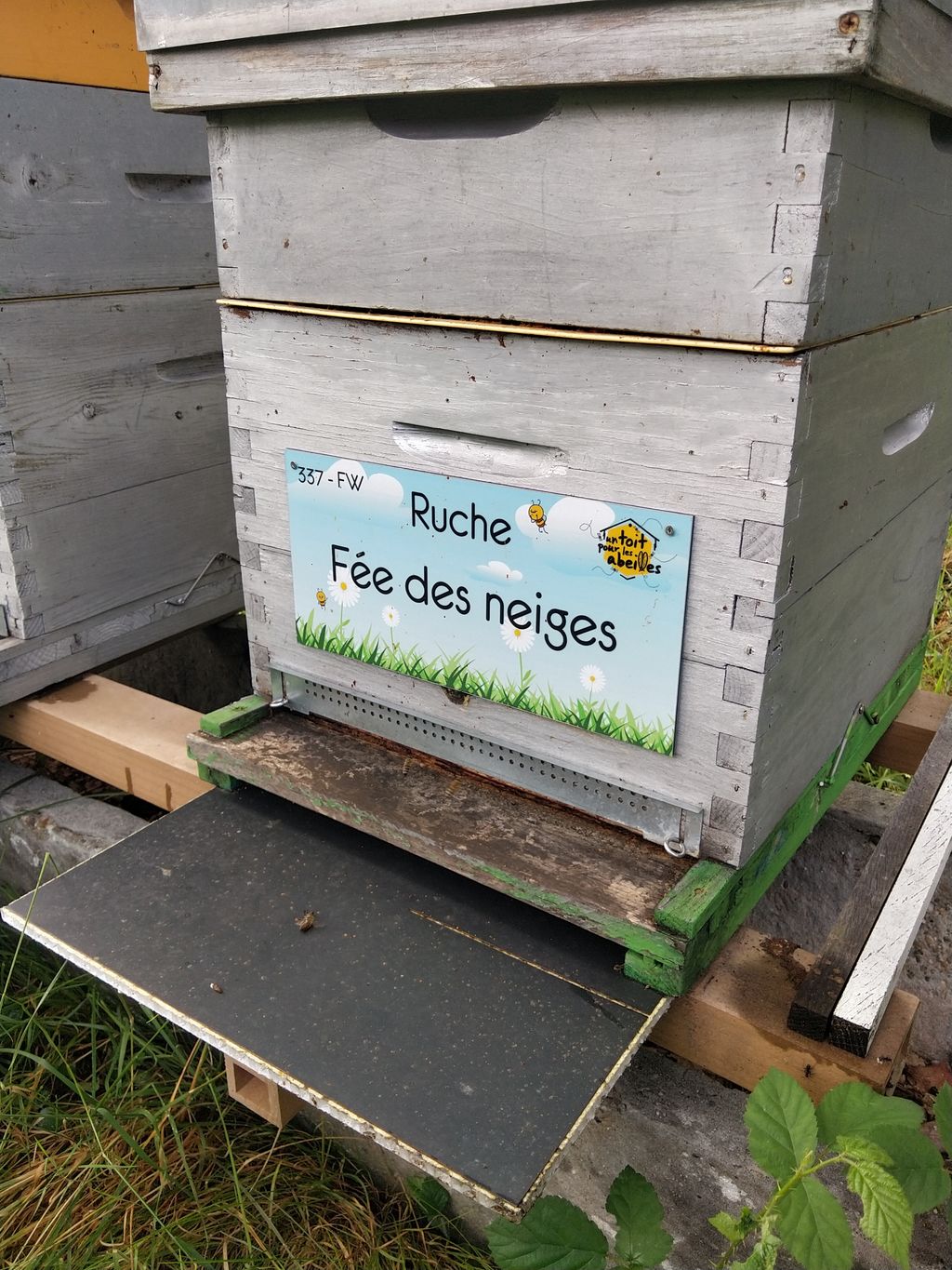 La ruche Fée des neiges