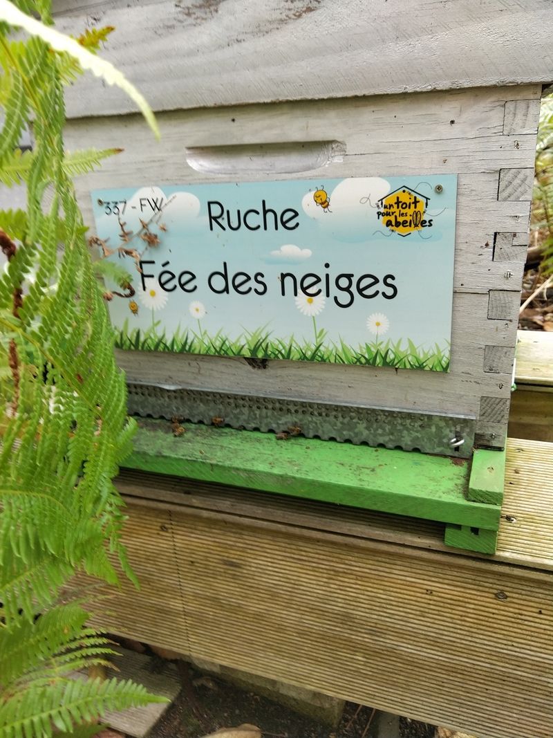 La ruche Fée des neiges