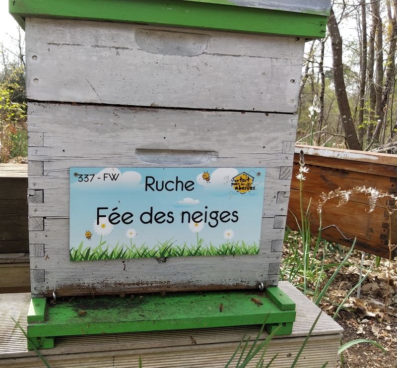 La ruche Fée des neiges