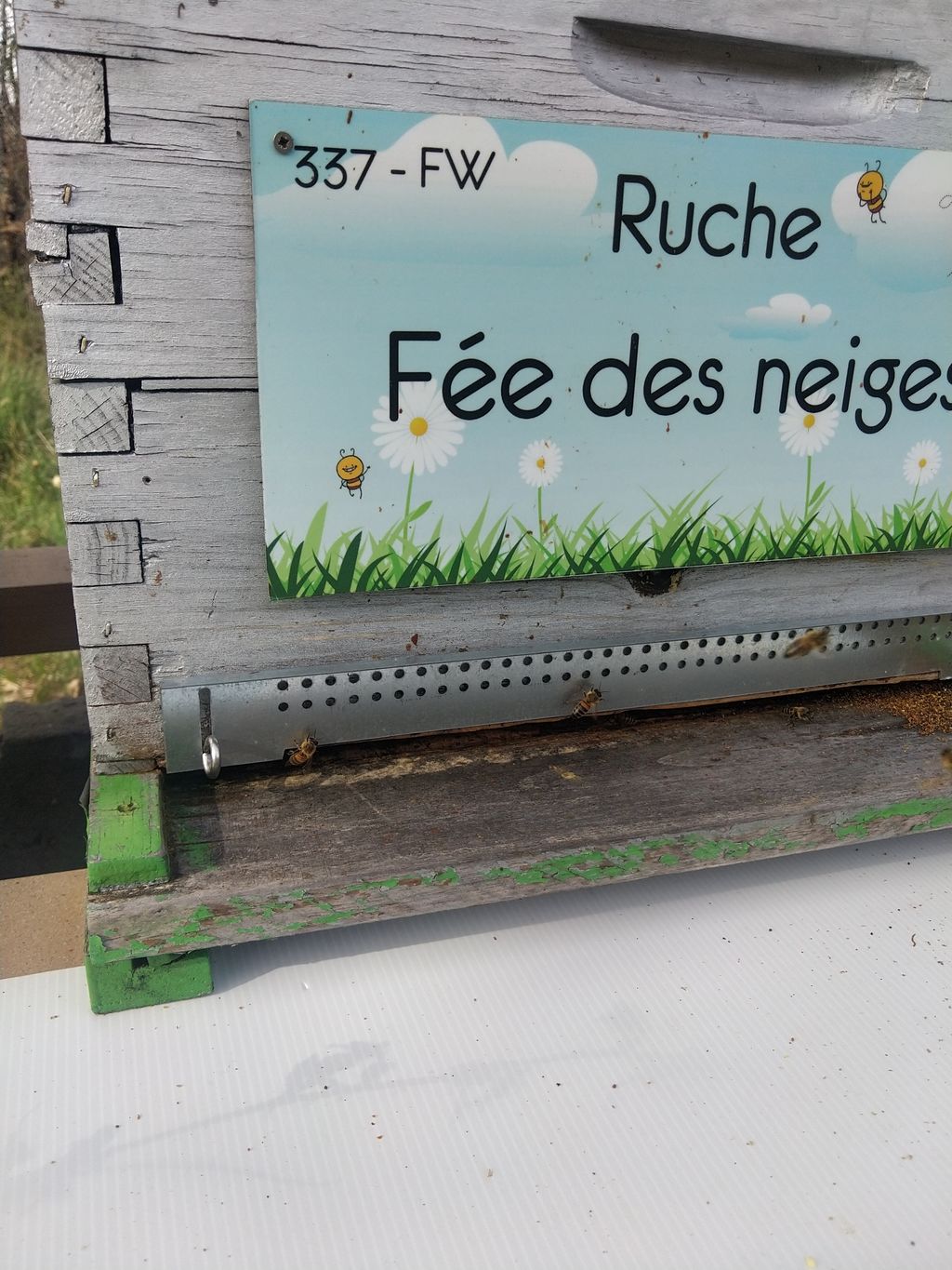 La ruche Fée des neiges