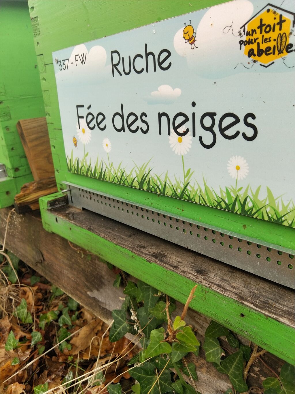 La ruche Fée des neiges