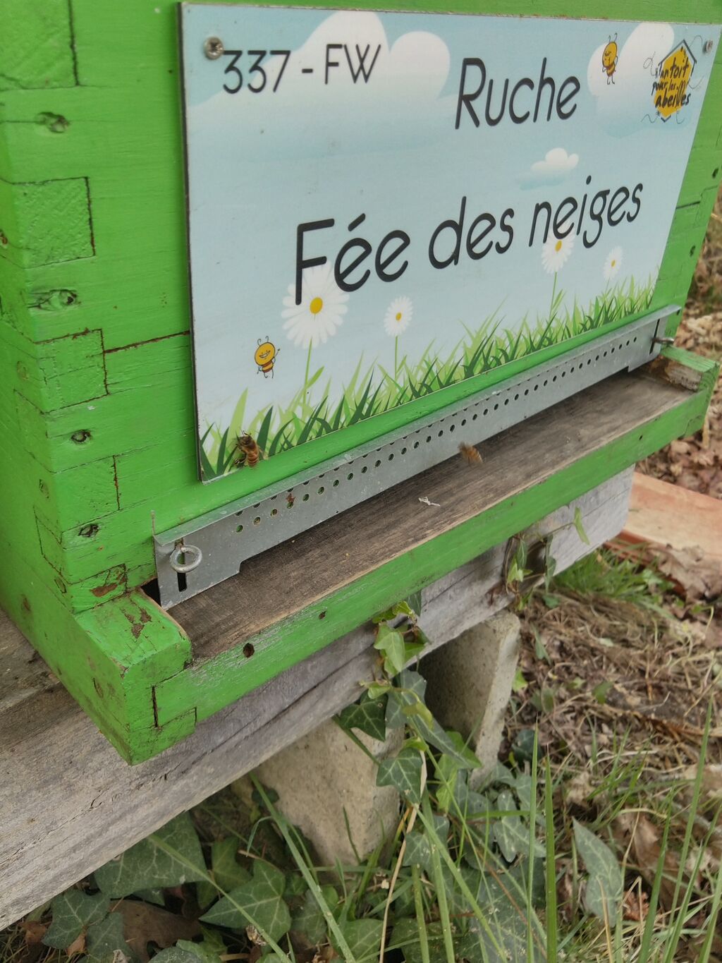 La ruche Fée des neiges